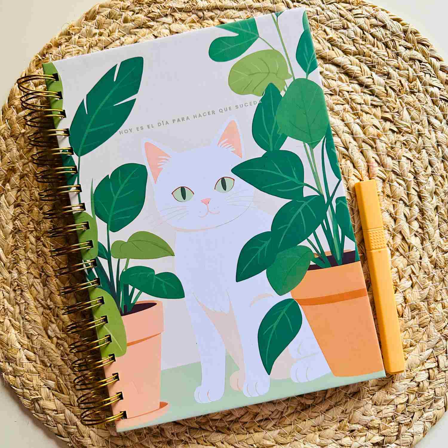 Cuaderno Edición Única 18 × 25 cm - Cat