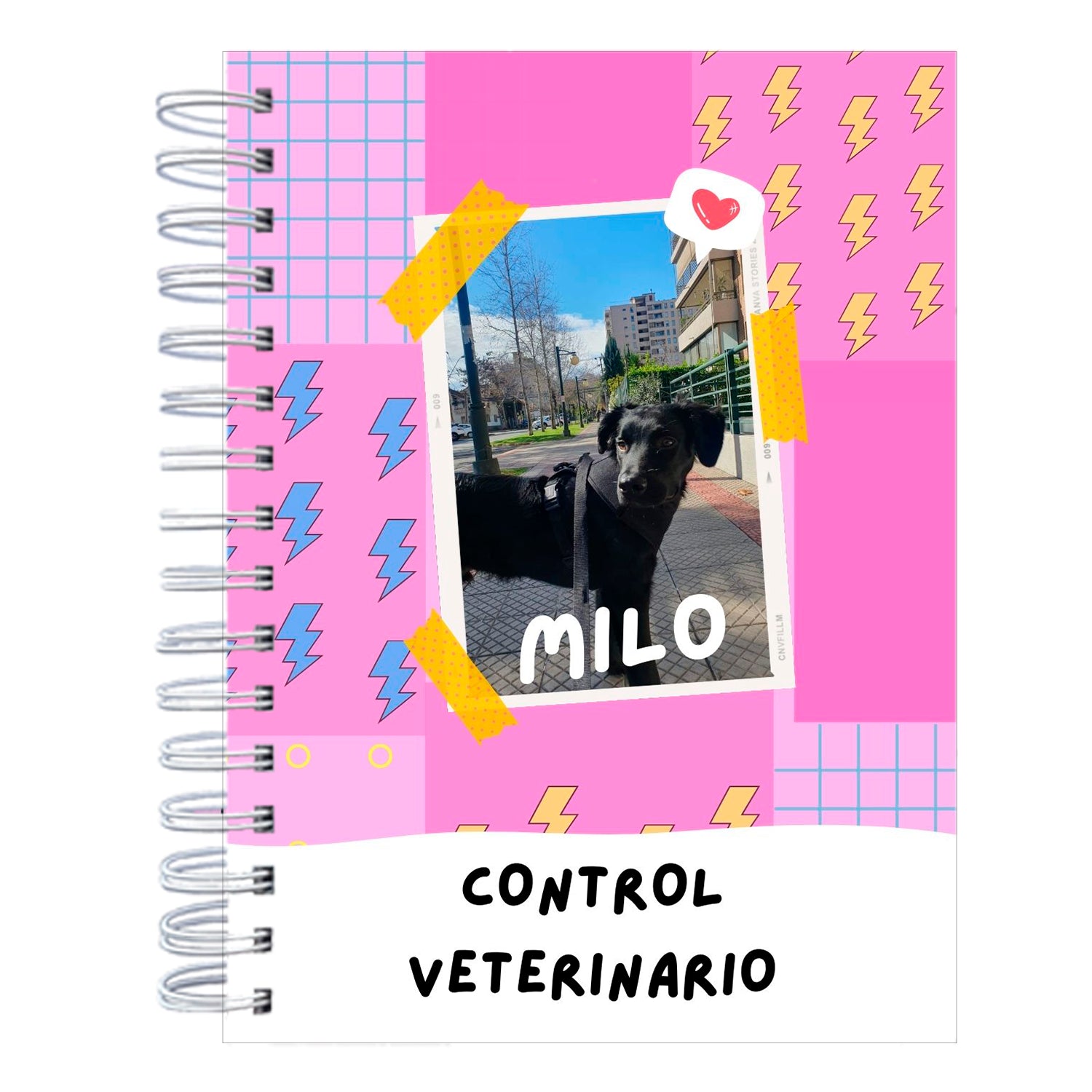 Control Veterinario Animals pink