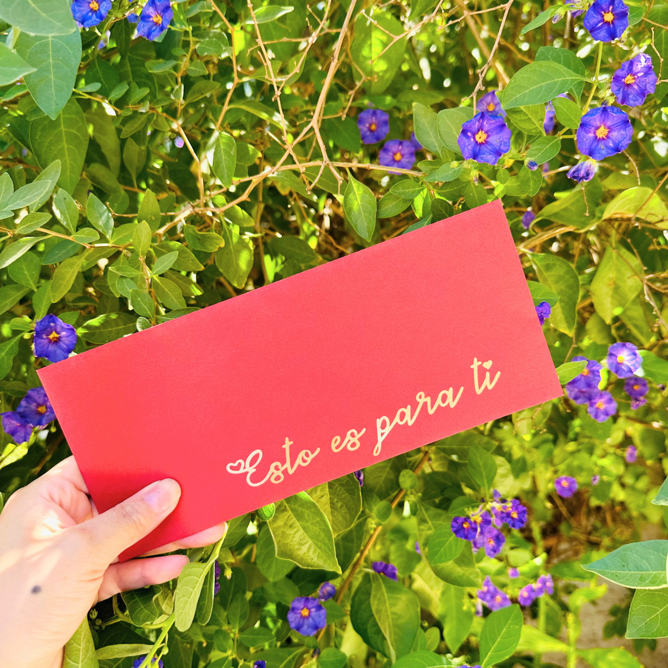 Cuponera “Vale por…” – Regala Momentos Inolvidables