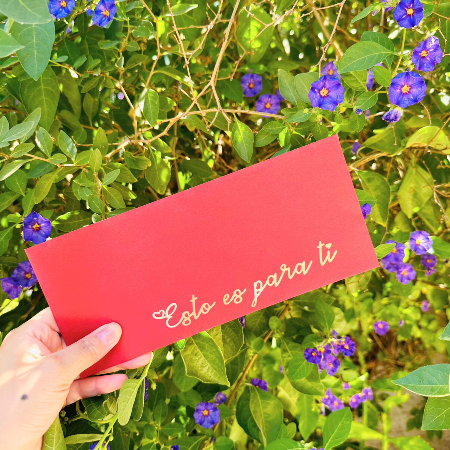 Cuponera “Vale por…” – Regala Momentos Inolvidables