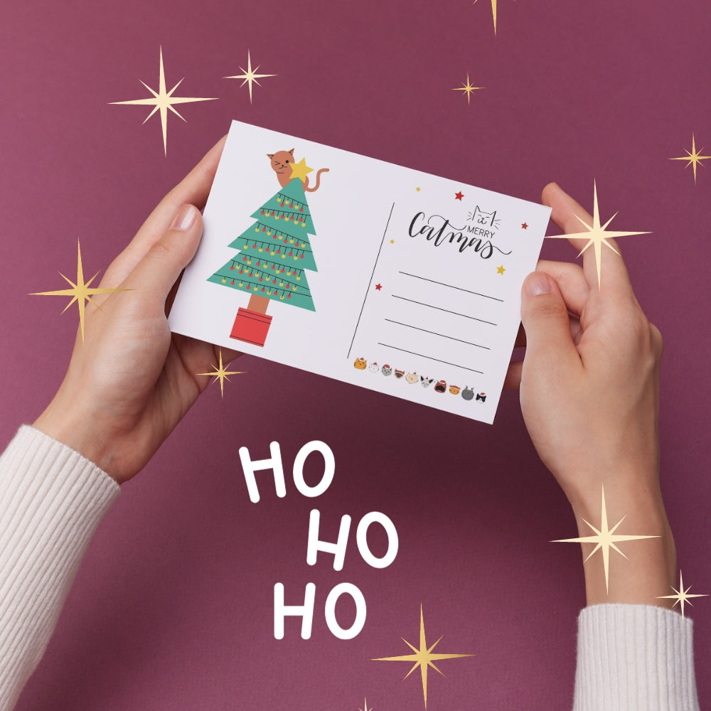 Postal Navideña Cat