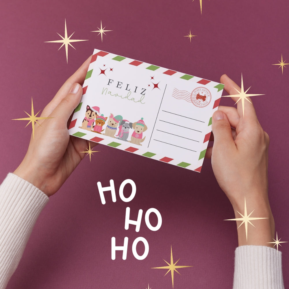 Postal Navideña Dog