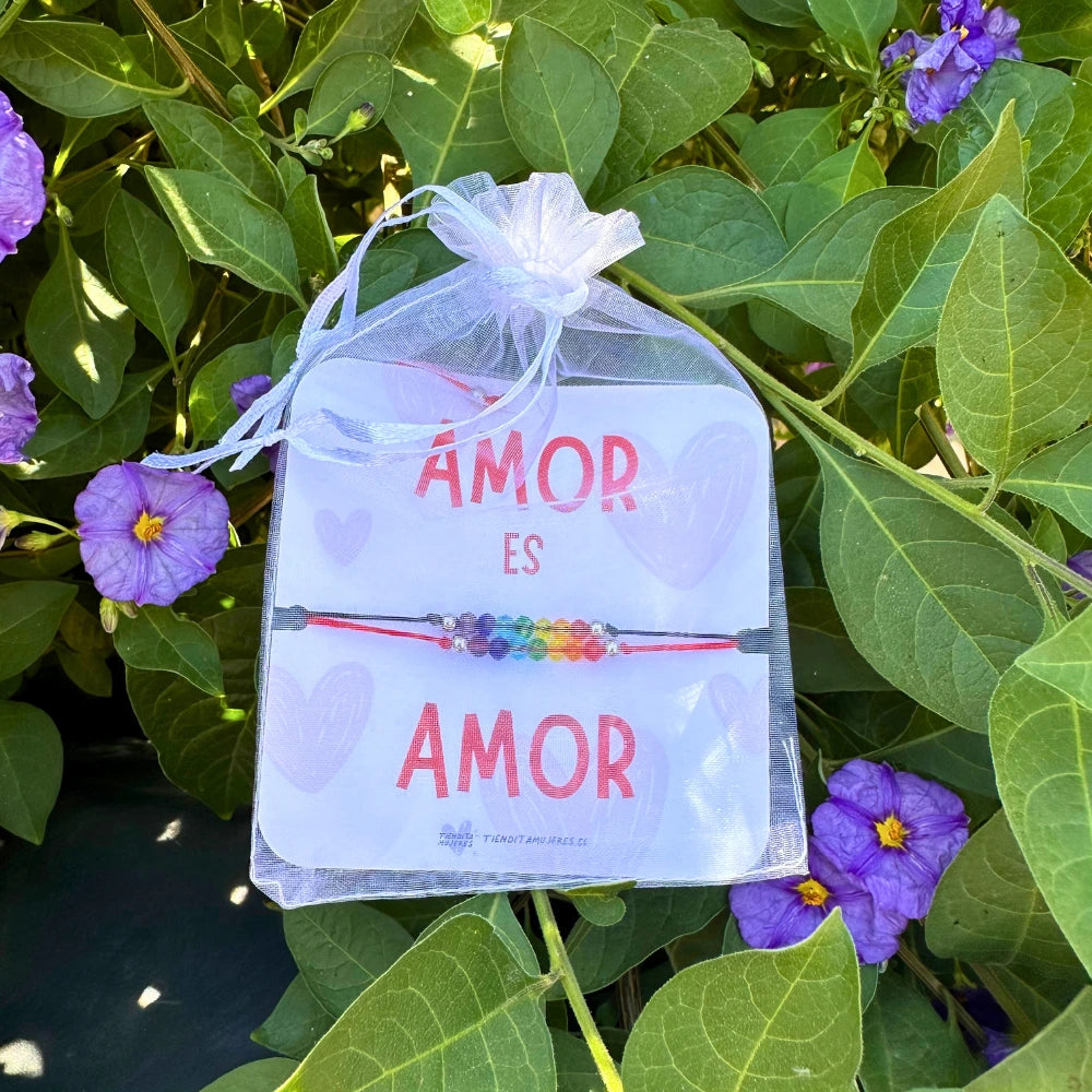 Pulsera Pareja Imán amor Amor