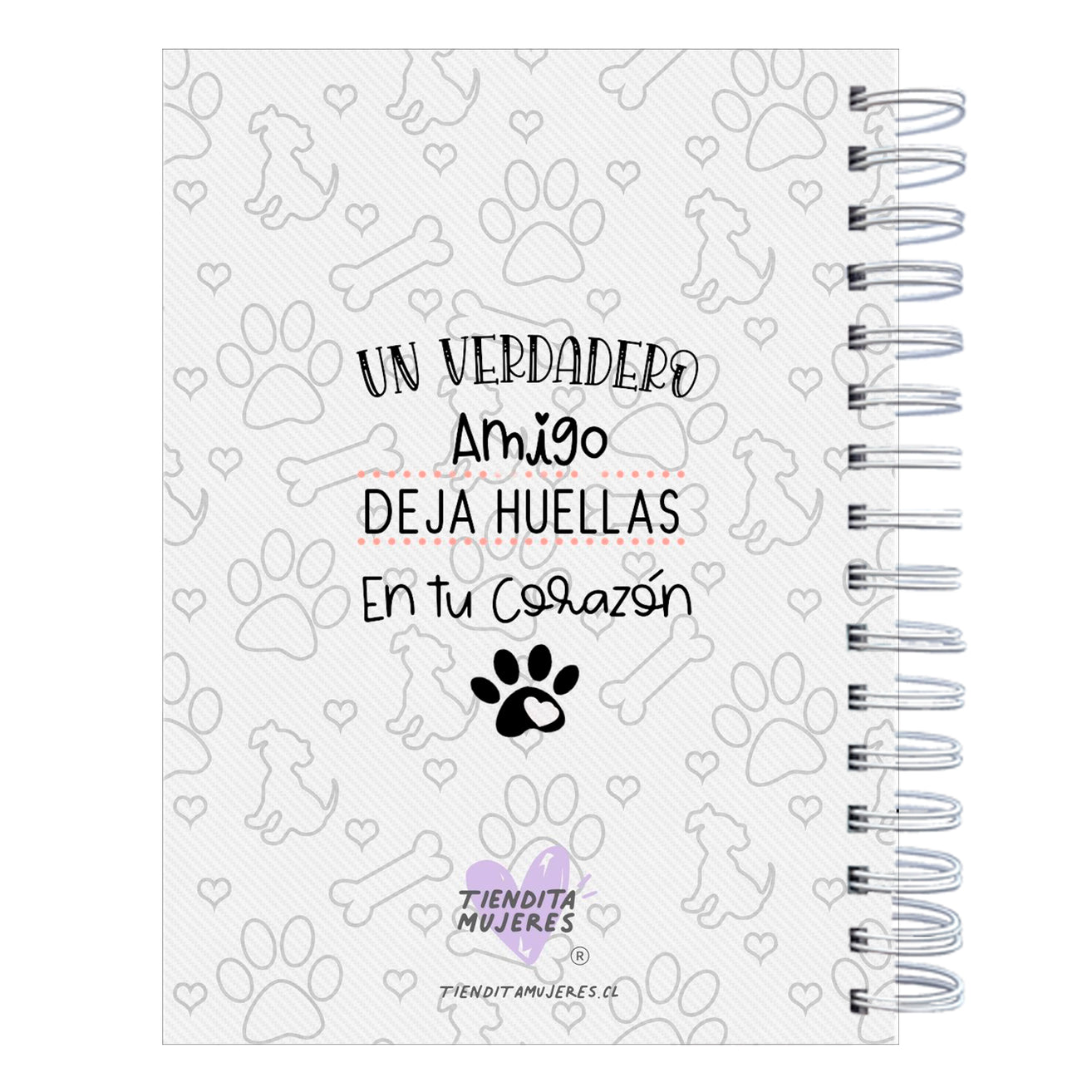 Control Veterinario Animals aesthetic