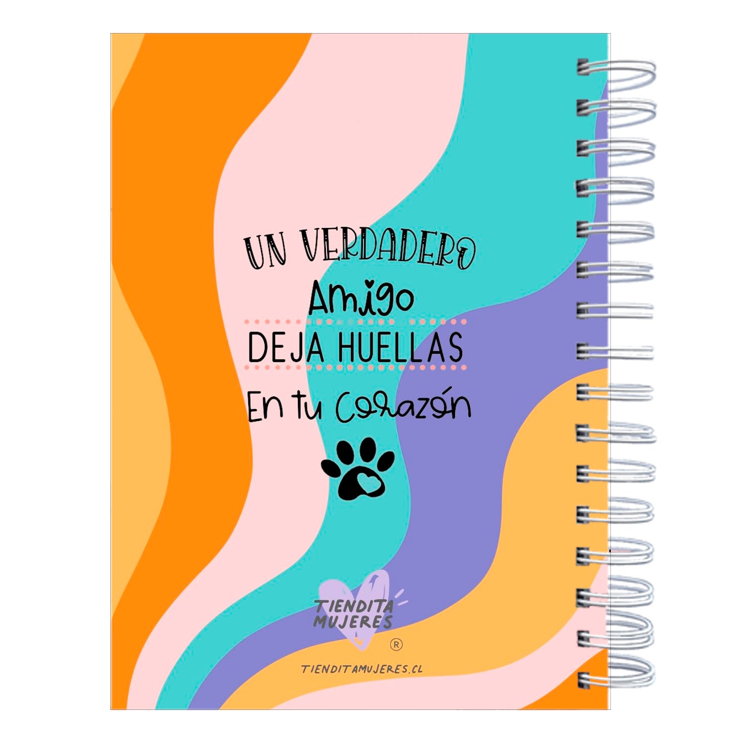 Control Veterinario Animals Cute