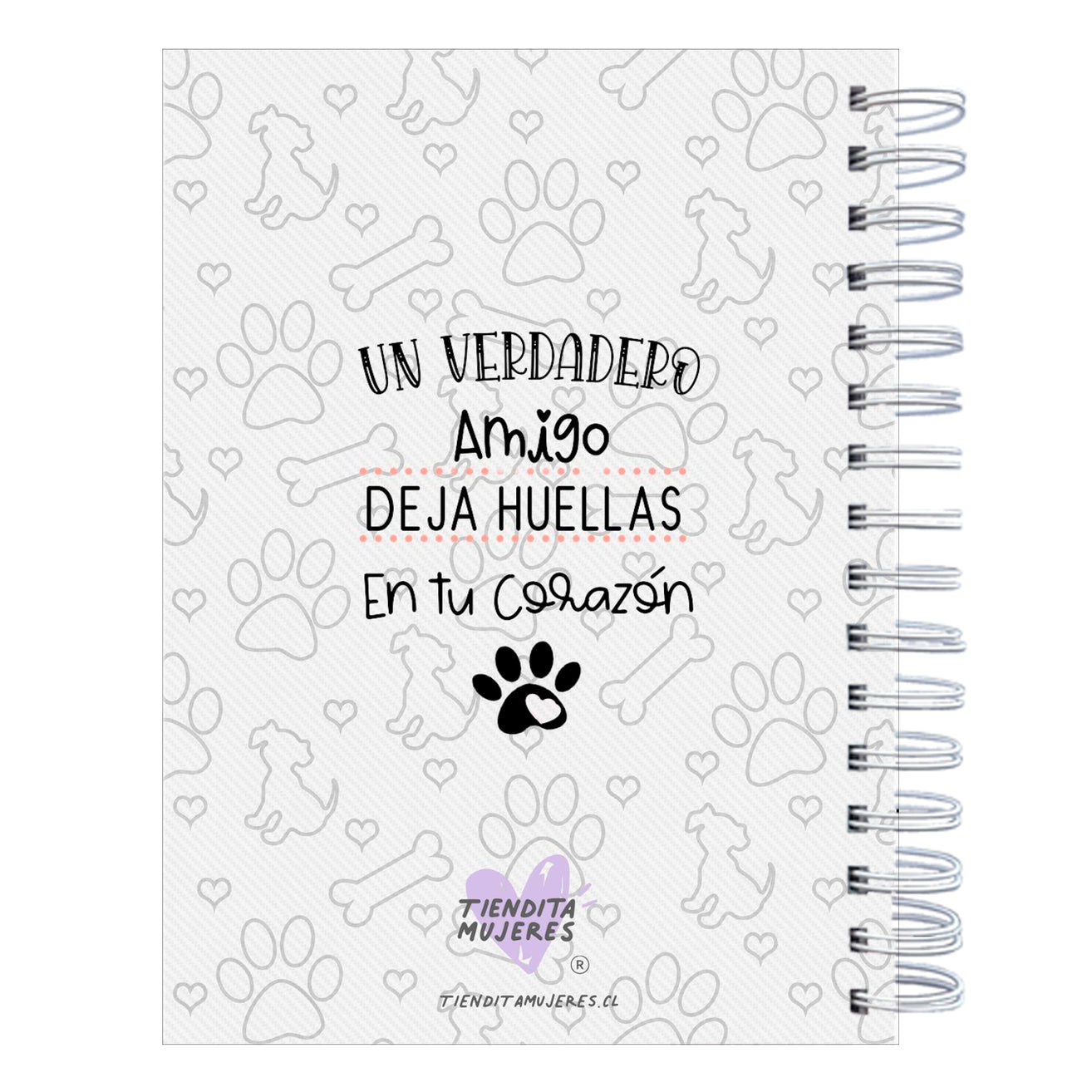 Control Veterinario Photography