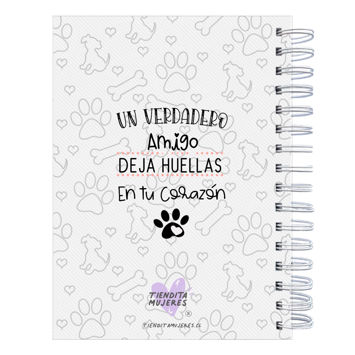 Control Veterinario Photography