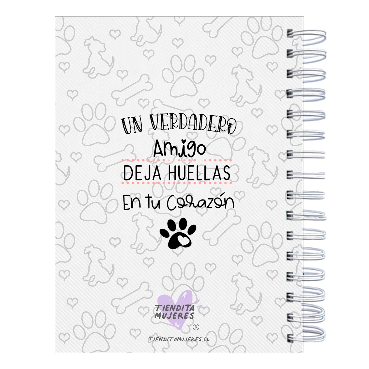 Control Veterinario aesthetic Photography